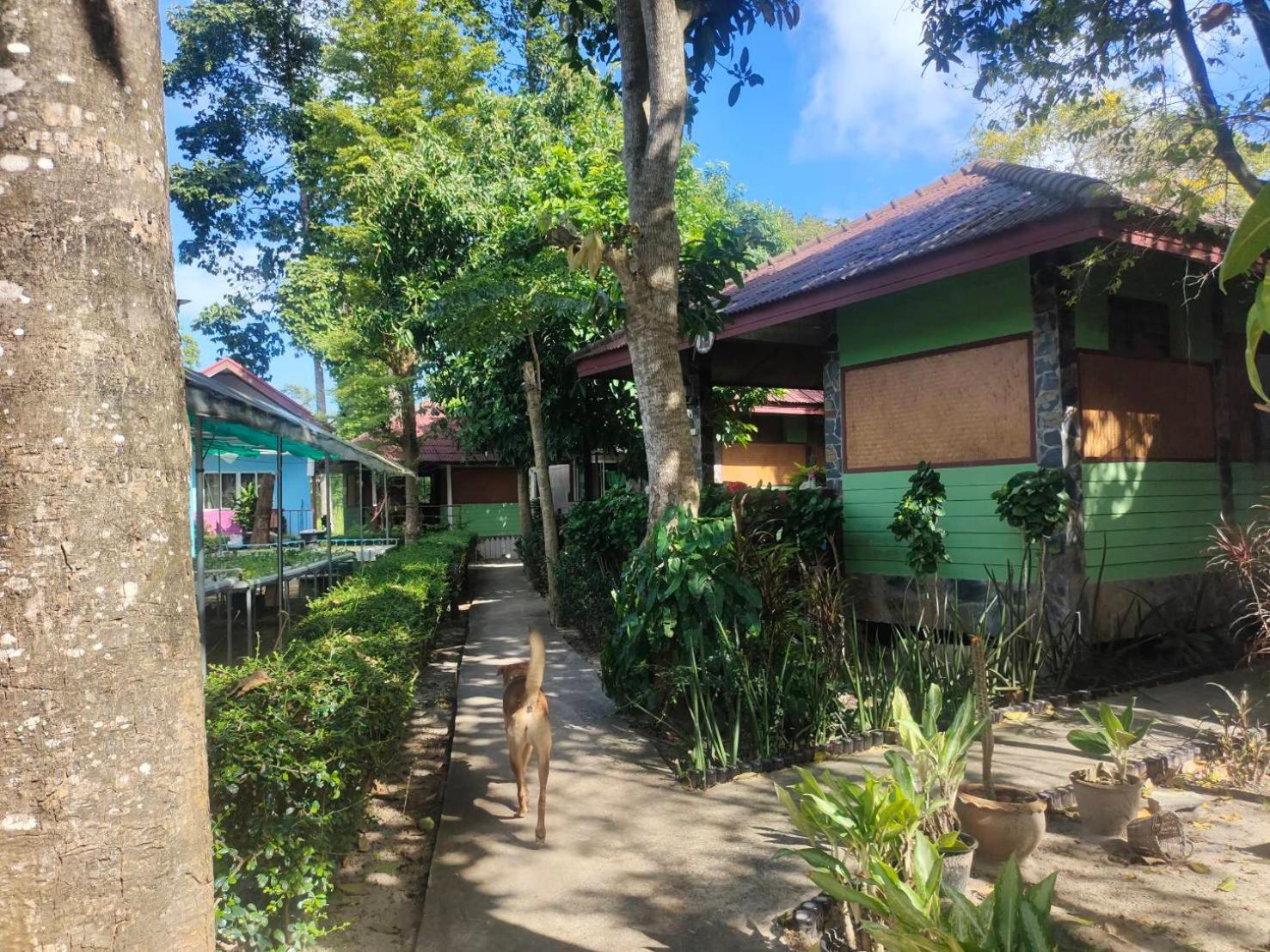 Everest Resort Samui - Sha Plus Mae Nam Exterior photo